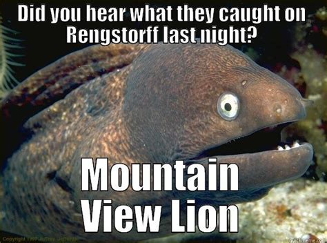 Mountain Lion caught on Rengstorff - quickmeme