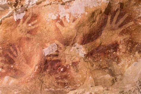 La "nueva" obra de arte más vieja del mundo tiene 40.000 años | Cave paintings, Ancient ...