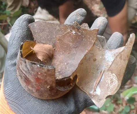 Tamil Nadu Forest Dept collects tonnes of dumped glass bottles in Kanniyakumari that injure wildlife