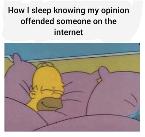 How I sleep knowing my opinion offended someone on the Internet - Meme by DangerousPizza ...