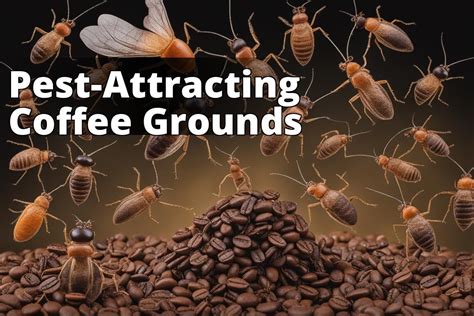 Pest Control: Debunking Myths About Coffee Grounds