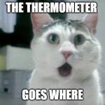 OMG Cat Meme Generator - Imgflip