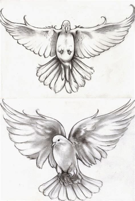 Paloma tatuaje | Dove tattoo design, Dove tattoos, Dove tattoo