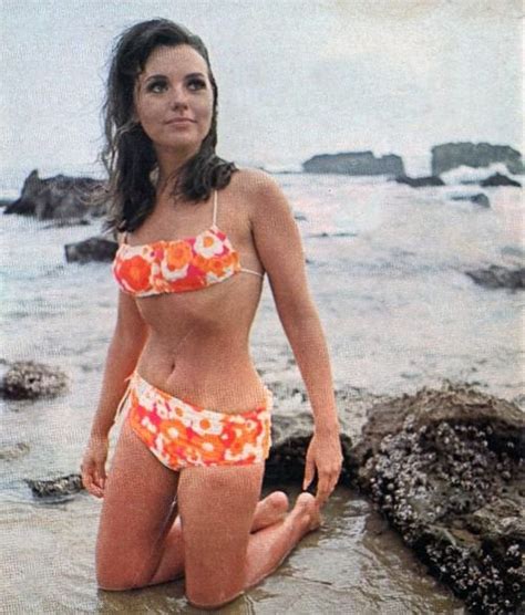 Dawn Wells aka Mary Ann on Gilligan's Island (1960s) : OldSchoolCool