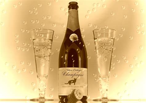 "Vintage Champagne" by Angela Harburn | Redbubble