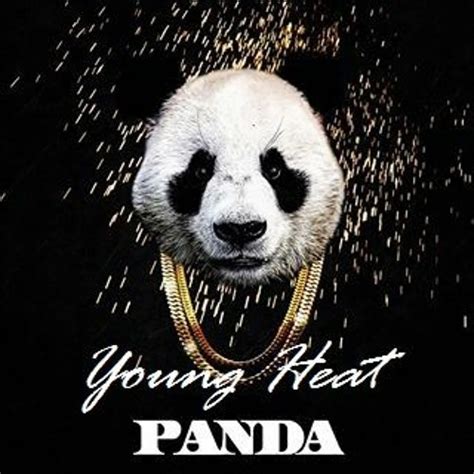 Stream Panda Remix by Young Heat | Listen online for free on SoundCloud