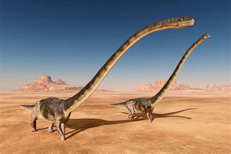 Monumental Discovery: France Unearths 500 kg Dinosaur Bone, Believed to ...