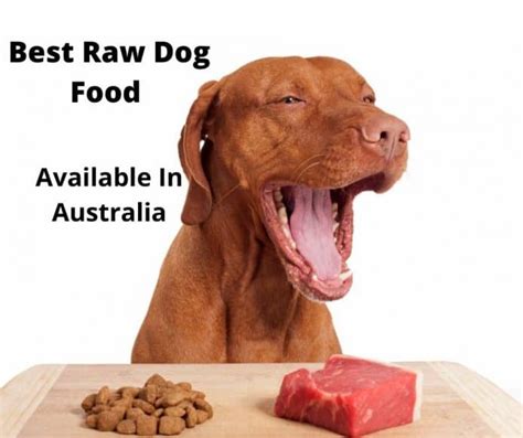 7 Best Raw Dog Food Options Australia (2021 Buyer’s Guide ...