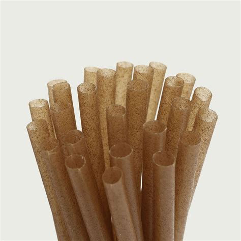 100 PCS | 8" Biodegradable Sugarcane Straws, Natural Plant Based Compostable Eco-friendly ...