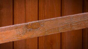 Ultimate Guide To Cedar Wood Stain - Top Woodworking Advice
