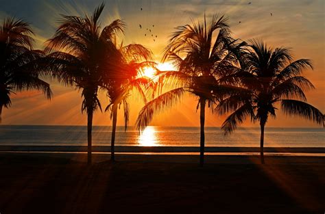 Tropical Sunset Free Stock Photo - Public Domain Pictures