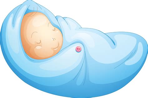 Free Birth Cliparts, Download Free Birth Cliparts png images, Free ClipArts on Clipart Library