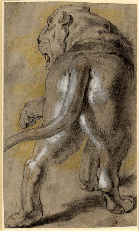 Peter Paul Rubens (1577 - 1640). A lioness, study for the painting ...