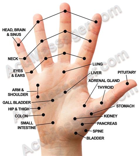 Human Pressure Points Diagram