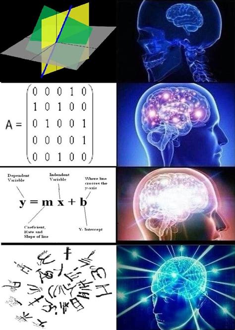 Linear Algebra : r/mathmemes