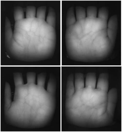 Palm–vein images in the database of this study. | Download Scientific ...