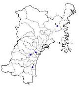 巨樹探訪－宮城県 sketch template