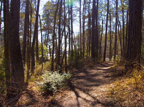 The Lone Star Hiking Trail | Hiking trails, Weekend hiking, Texas hiking trails