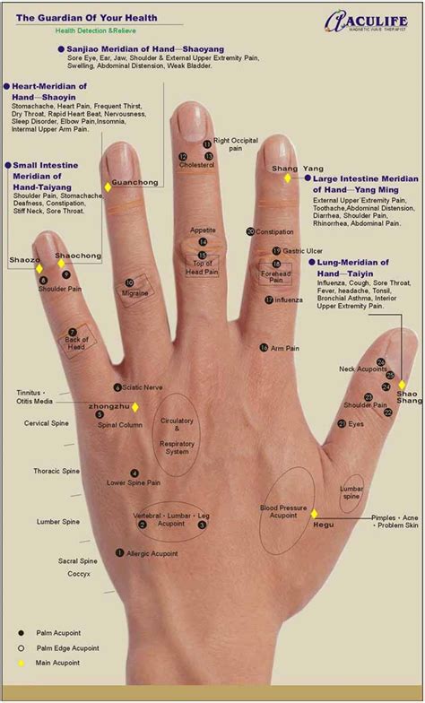 17 Best images about Hand Reflexology Chart on Pinterest | Hand massage, Health and Reflexology