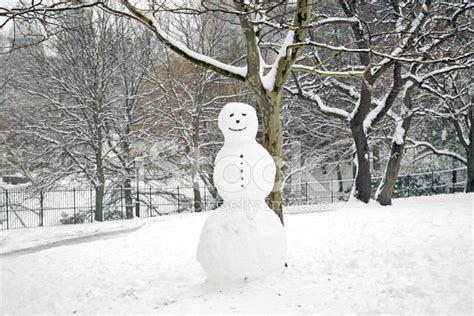 Snowman In Central Park Stock Photo | Royalty-Free | FreeImages