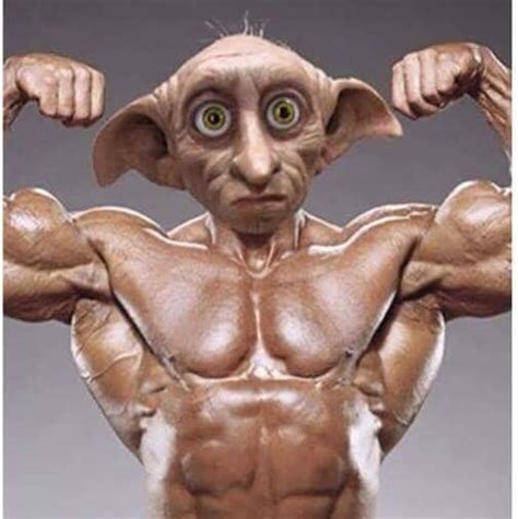 Master gave dobby a weight | Dobby, Dobby harry potter, Harry potter funny