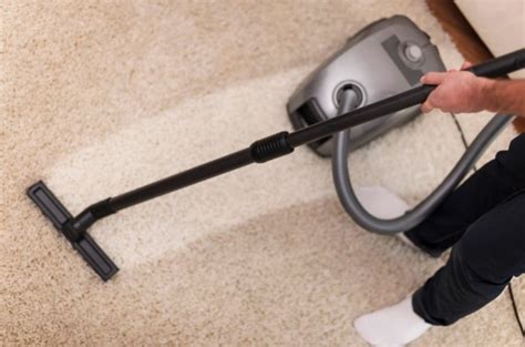 Carpet and Allergies - What You Should Know - HazelNews