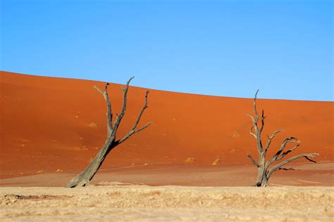 A Barren Landscape near a Desert · Free Stock Photo