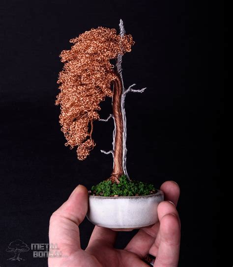 Aluminium and Copper Sharimiki in white container – Metal Bonsai Wire Tree Sculptures | Wire ...