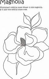Magnolia Coloring Page At GetColoringscom  Free Printable Colorings sketch template