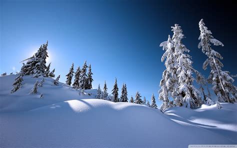 Winter Scenery wallpaper | 1920x1200 | #69066