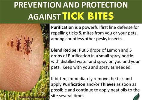 tick bite prevention - Alternative Earthcare