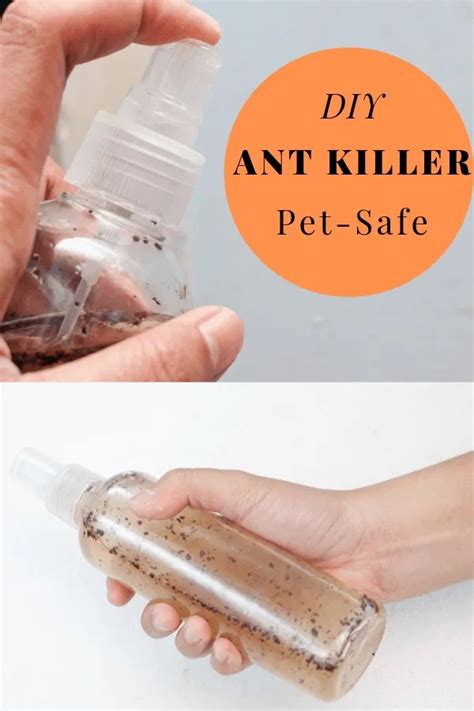 DIY Natural Ant Killer - Pet safe indoor homemade ant killer | Ant killer, Ant killer diy, Ant ...