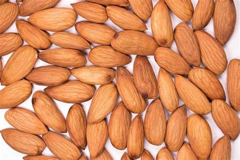 Almond Seed Germination, Time, Temperature (Badam) | Agri Farming