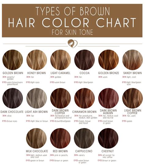 Medium Brown Hair Color Chart | Types of Brown Hair, Brown hair color chart, Brown hair colors