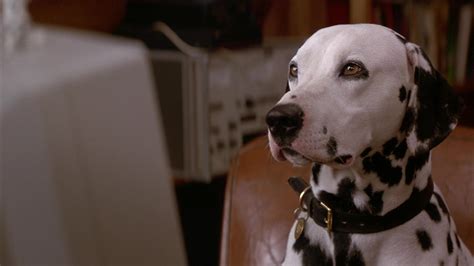 101 Dalmatians (1996) Screencap | Fancaps