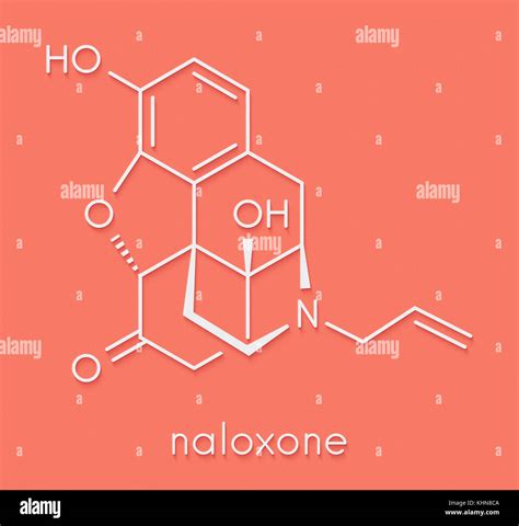 Naloxone opioid receptor antagonist. Drug used in treatment of opioid ...