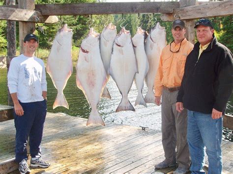 Alaska Halibut Fishing Heats Up - Alaska's Boardwalk Lodge