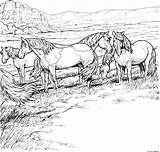 Herd Of Horses Coloring Page Printable sketch template