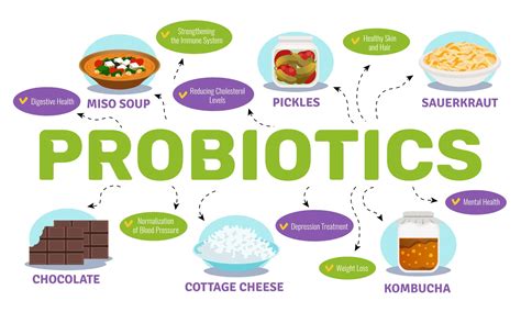 What is the Best Time to Take Probiotics? - HealthxTips