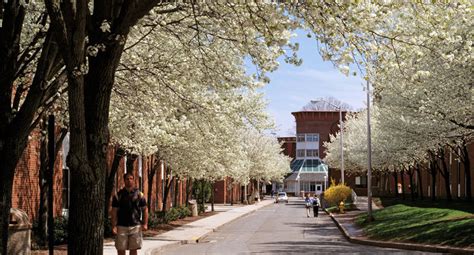 Our Campus of the Week goes to Quinnipiac... - Admittedly