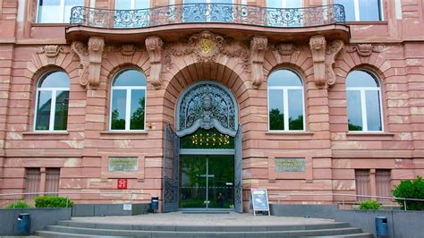 Senckenberg Museum in Frankfurt, | Expedia