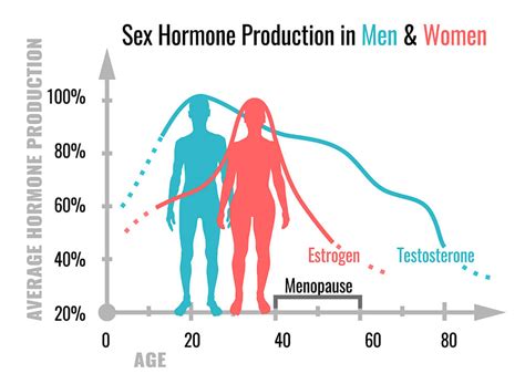 ¿Cuáles son las funciones de las hormonas sexuales? - Mejor con Salud