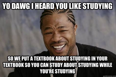 Yo dawg I heard you like studying So we put a textbook about studying in your textbook so you ...