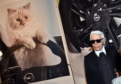 Meet the Cat That May Inherit Part of Karl Lagerfeld's Fortune — Best Life