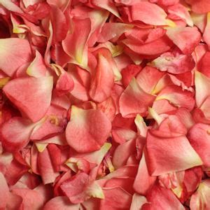 How to Rock Rose Petals in Your Wedding Ceremony