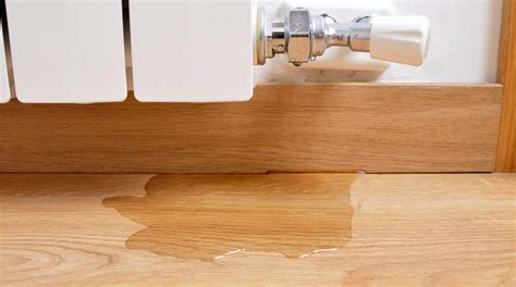 Tenant Guide: How to Deal with a Water Leak in Your Rental Property ...