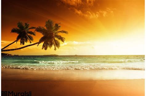 Sunset Beach Sea Wall Mural