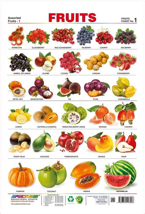 Amazon.com : Spectrum Pre - School Kids Learning Laminated Educational Fruits Name Wall Chart ...