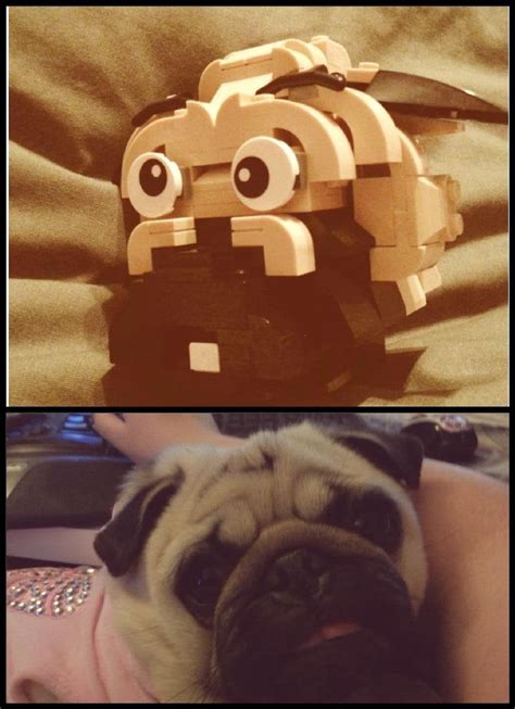 My Pug MOC! wip : r/lego