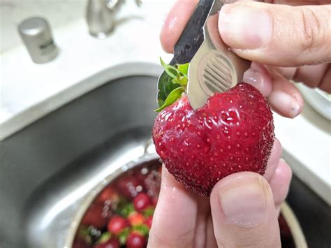 Strawberry Picking Season: The Complete Guide (Updated 2023)